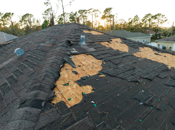 Fast & Reliable Emergency Roof Repairs in Bovina, TX